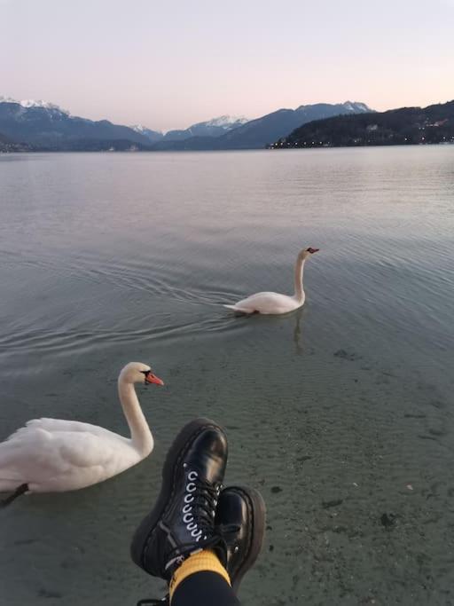 Cocon A La Campagne,Proche Annecy Alby-sur-Cheran Exterior foto
