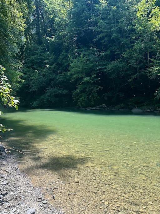 Cocon A La Campagne,Proche Annecy Alby-sur-Cheran Exterior foto