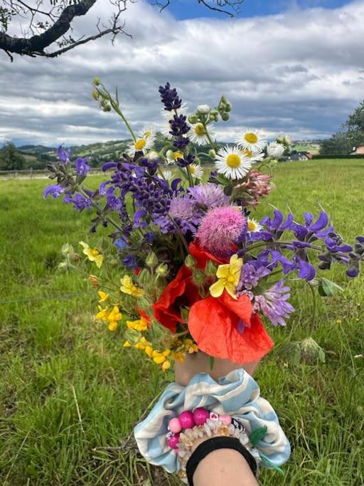 Cocon A La Campagne,Proche Annecy Alby-sur-Cheran Exterior foto