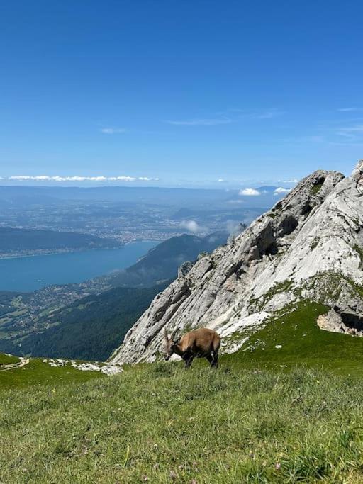 Cocon A La Campagne,Proche Annecy Alby-sur-Cheran Exterior foto